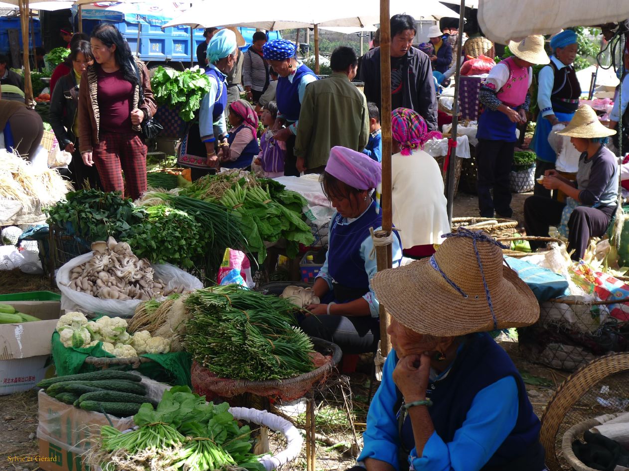 302 Dali marché de Shaping