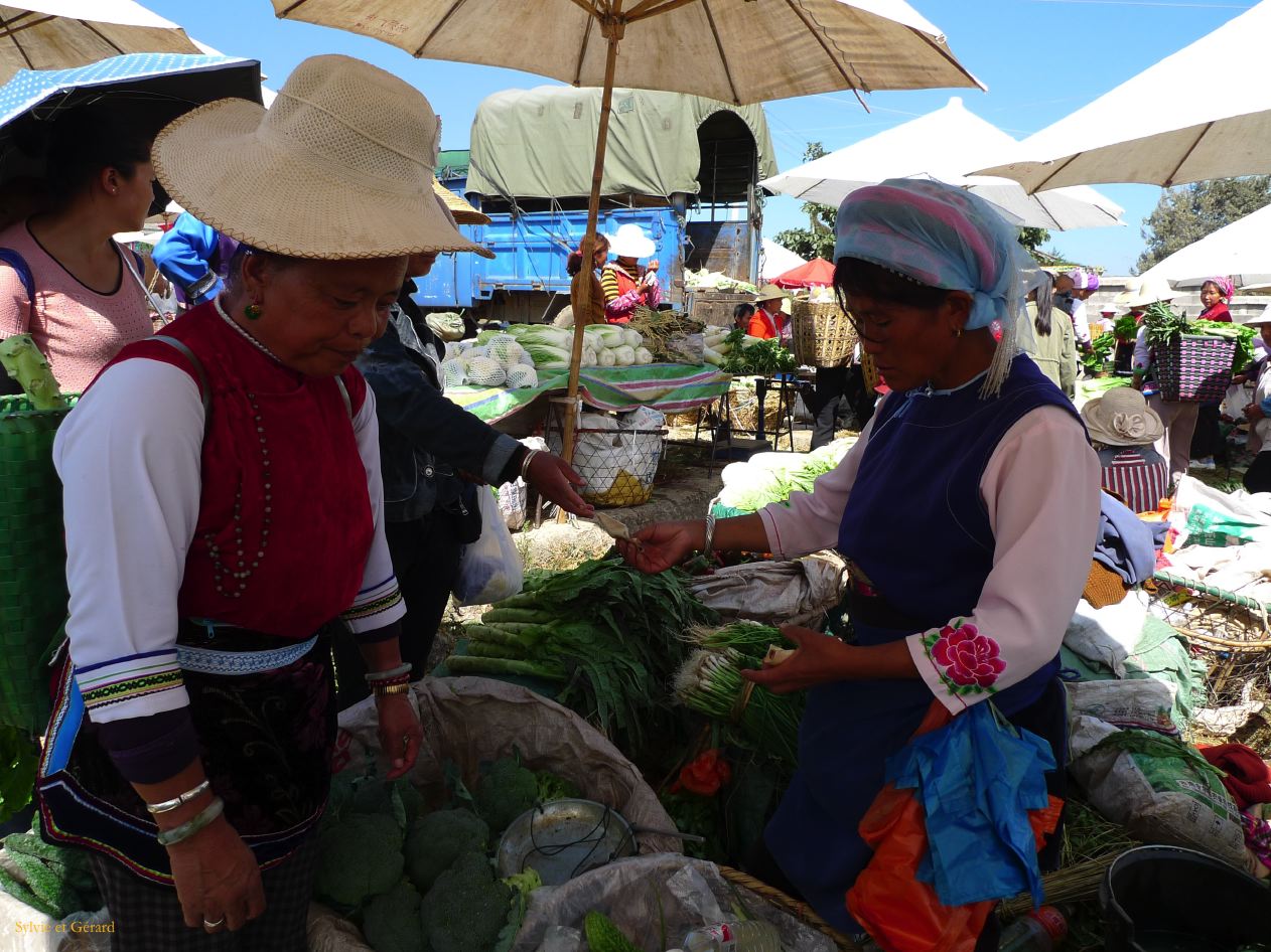 303 Dali marché de Shaping