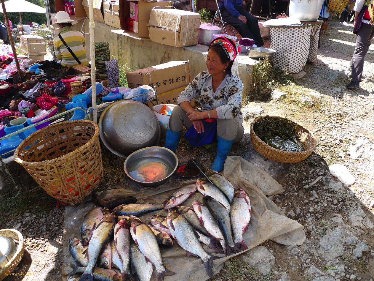 304 Dali marché de Shaping