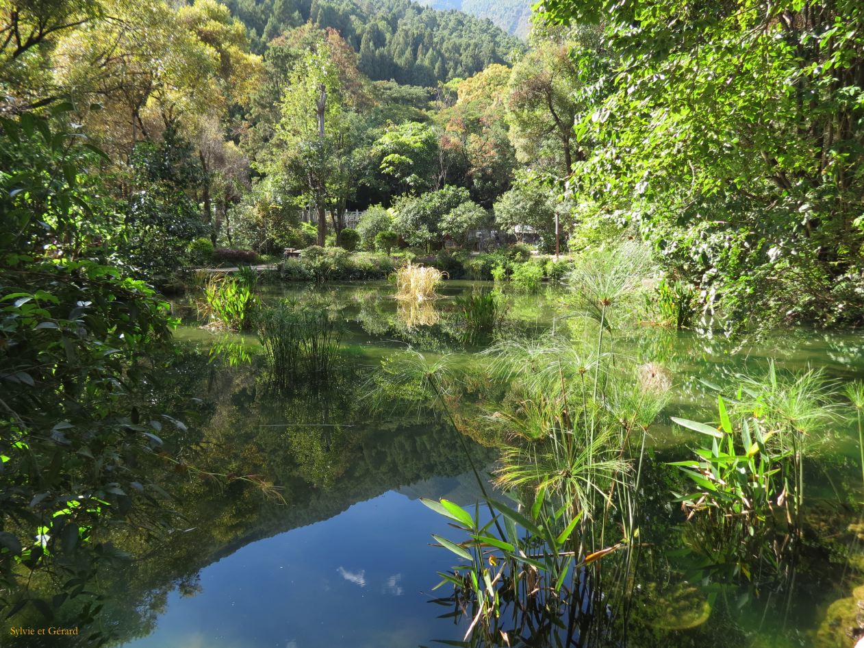 310 Dali village de Zhoucheng parc aux papillons