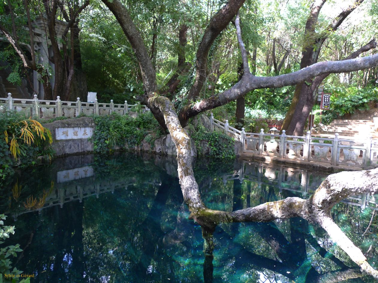 311 Dali village de Zhoucheng source des papillons