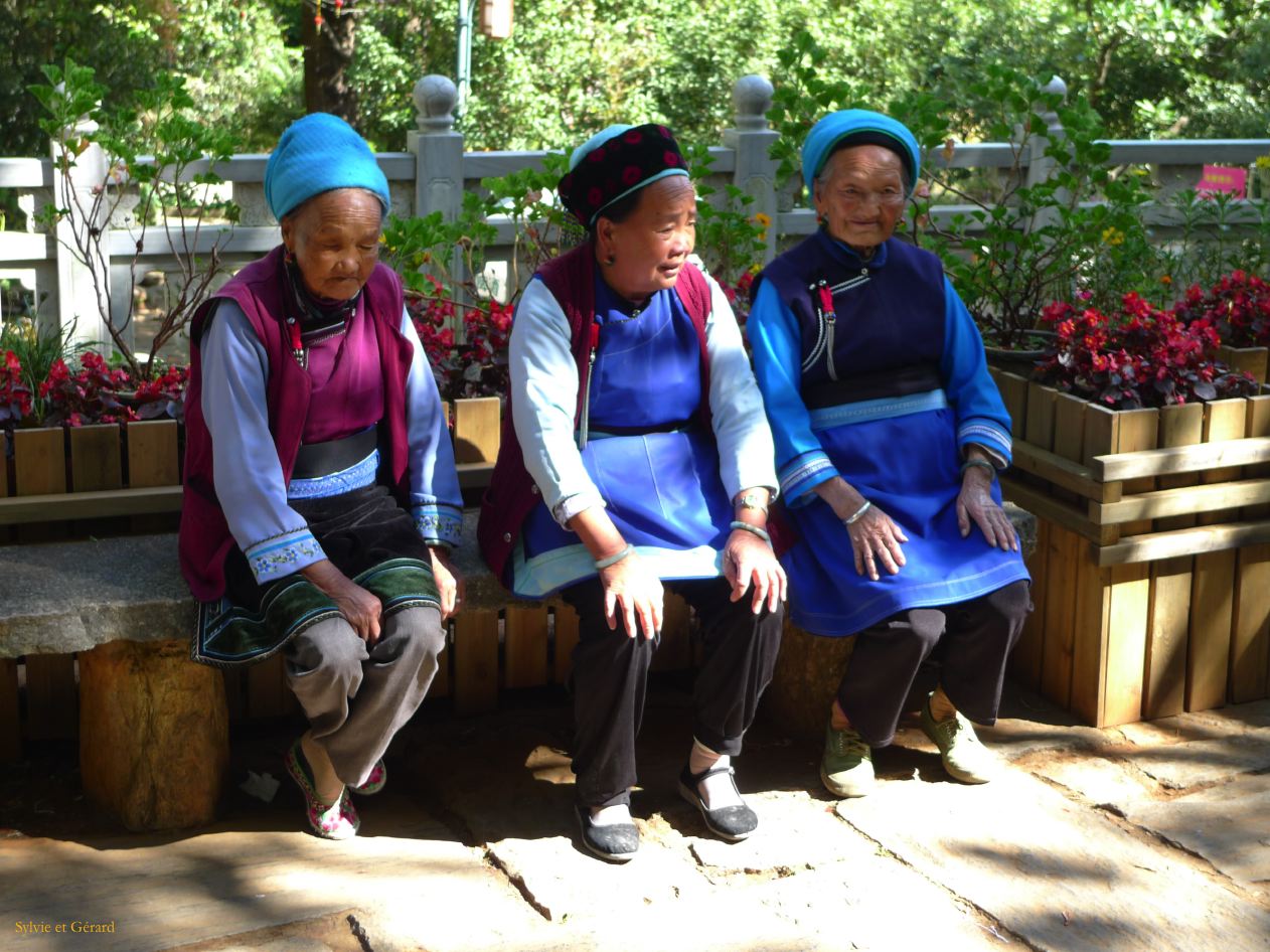 313 Dali village de Zhoucheng parc aux papillons