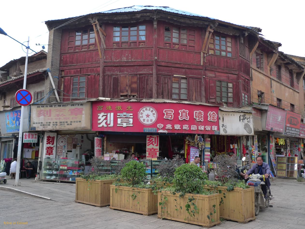 374 Kunming marché aux fleurs et aux oiseaux