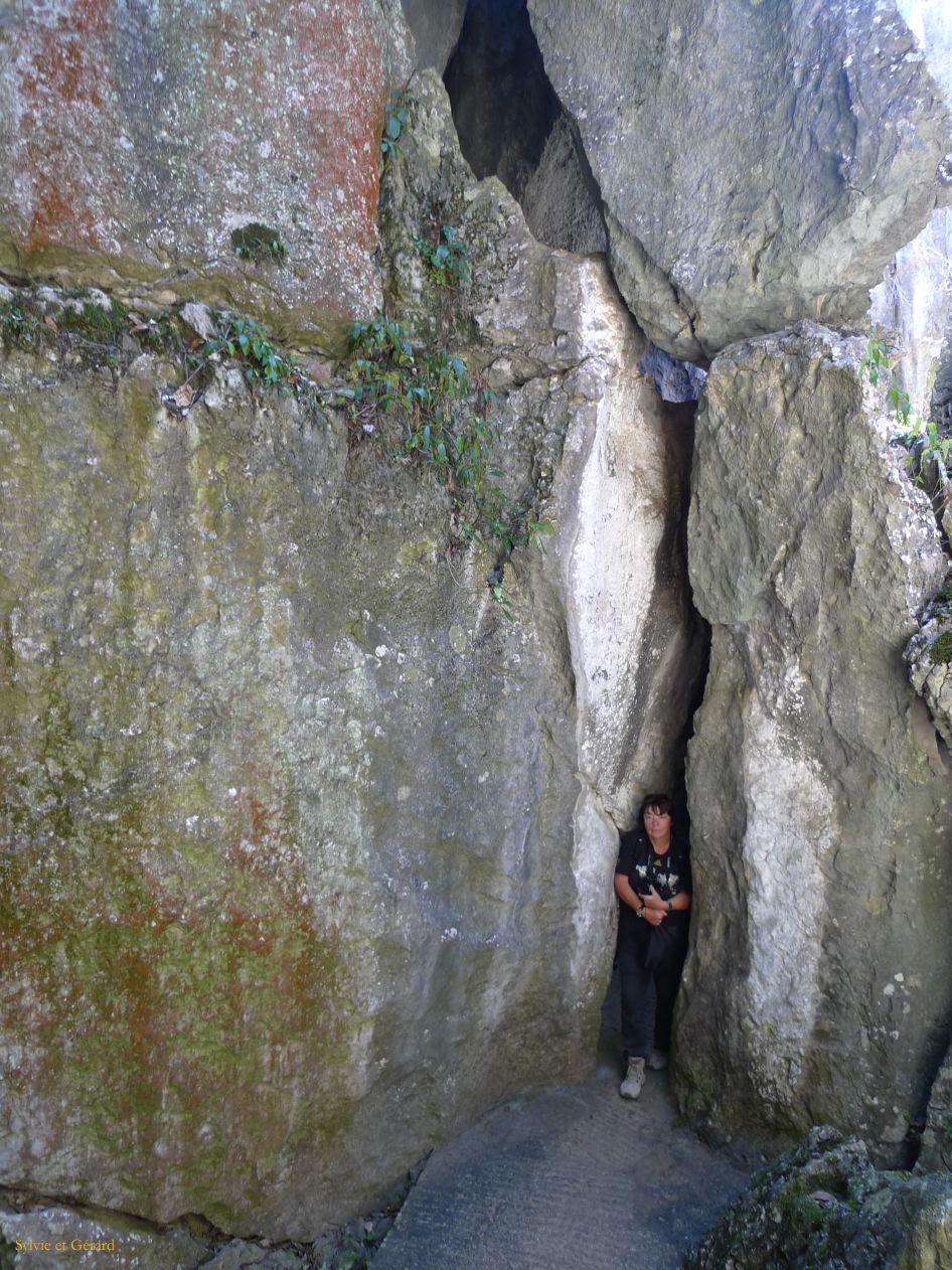 524 Shilin la forêt de pierre des labyrinthes entre les pitons rocheux 