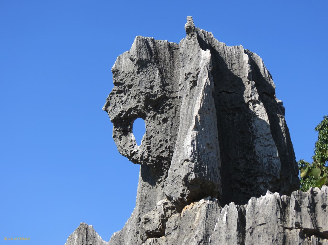 529 Shilin la forêt de pierre - l'éléphant