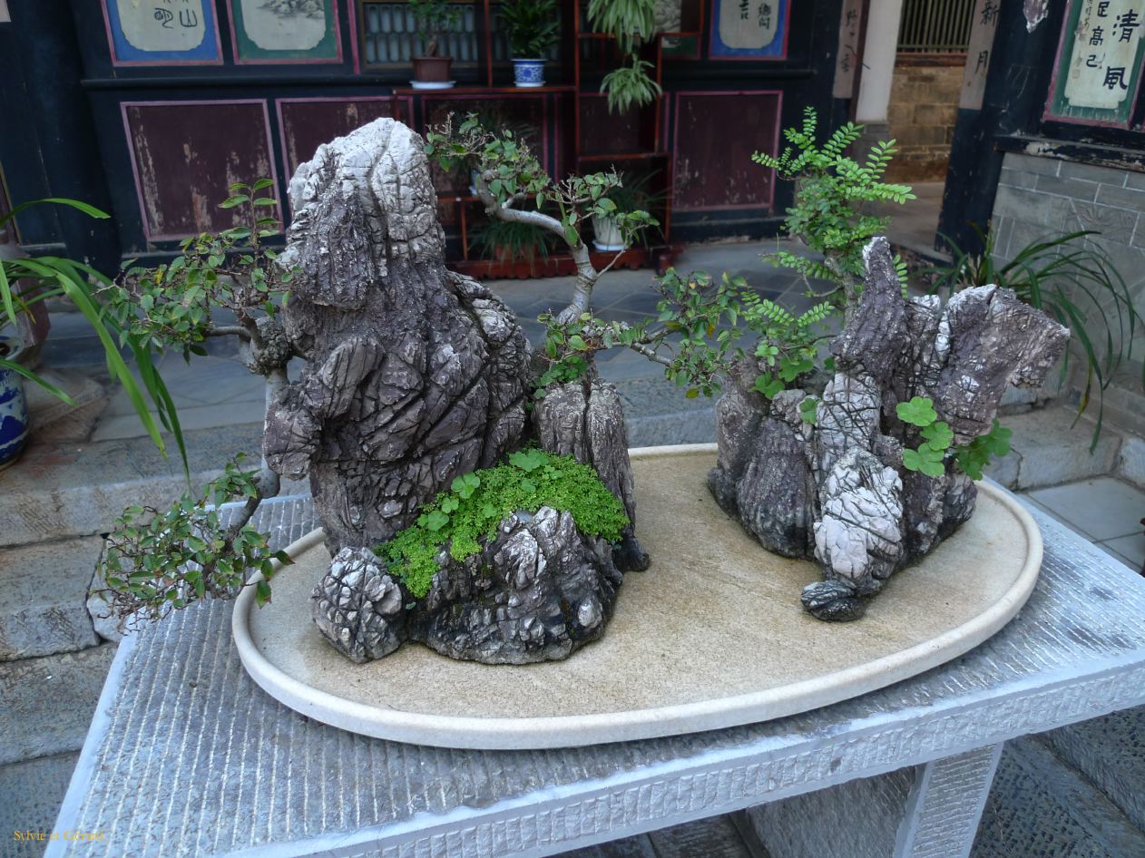 577 Jianshui dans la Vieille Ville la Résidence de la Famille Zhu