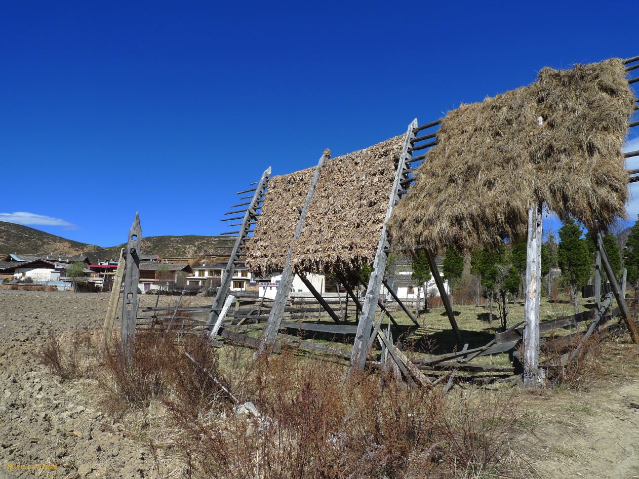 044 Shangri La le monastère Songzanlin séchoir