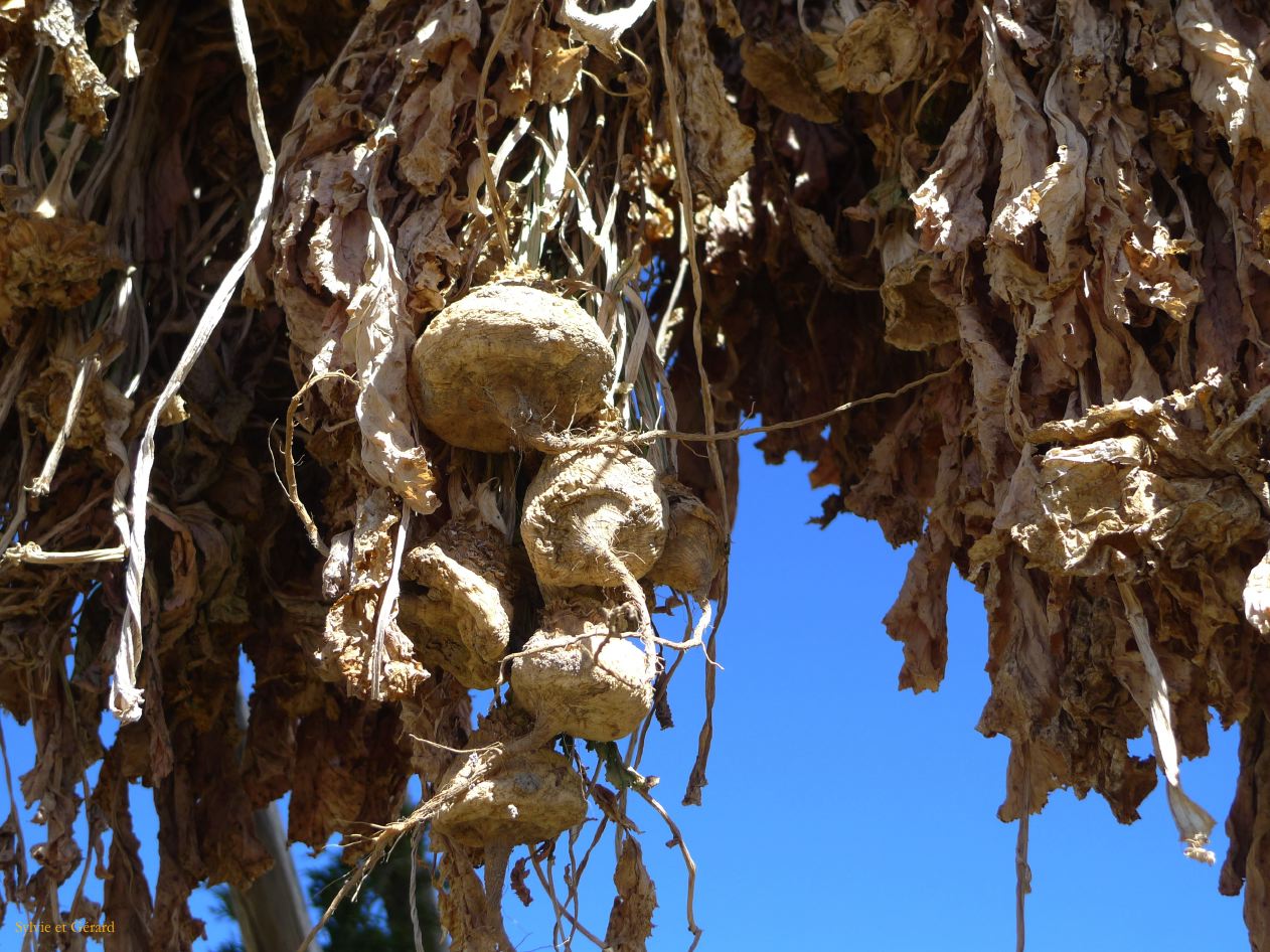 045 Shangri La le monastère Songzanlin