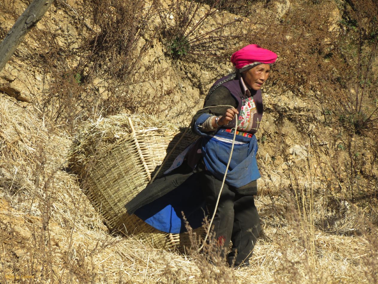 047 Shangri La le monastère Songzanlin et ses environs