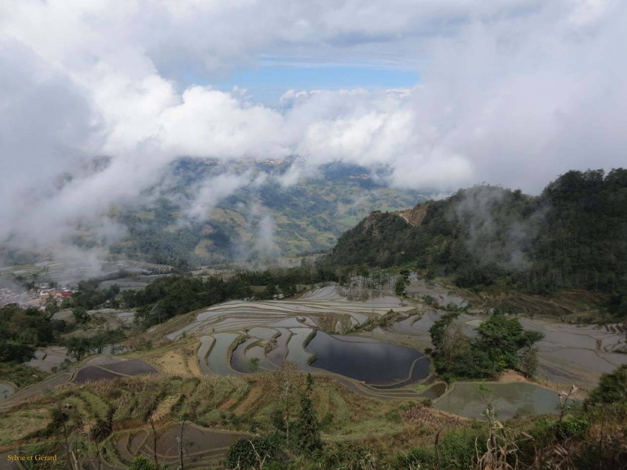 660 Yuanyang rizières des environs 