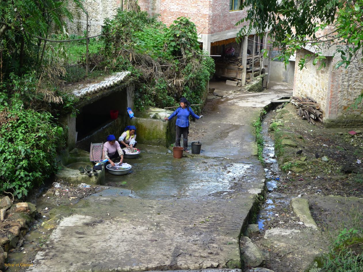 662 Yuanyang rizières des environs
