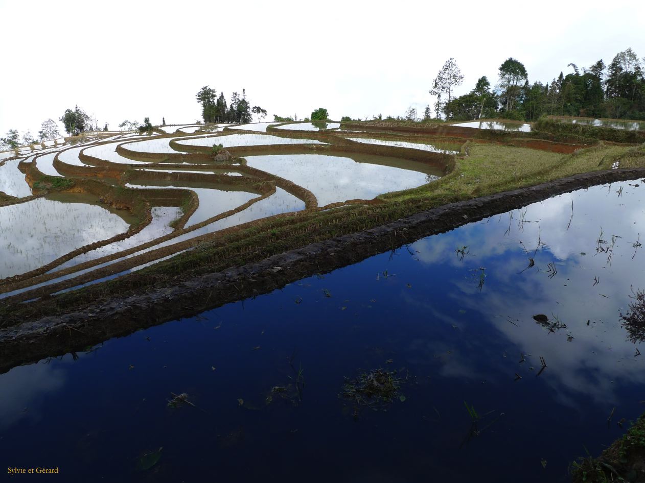 665 Yuanyang rizières des environs