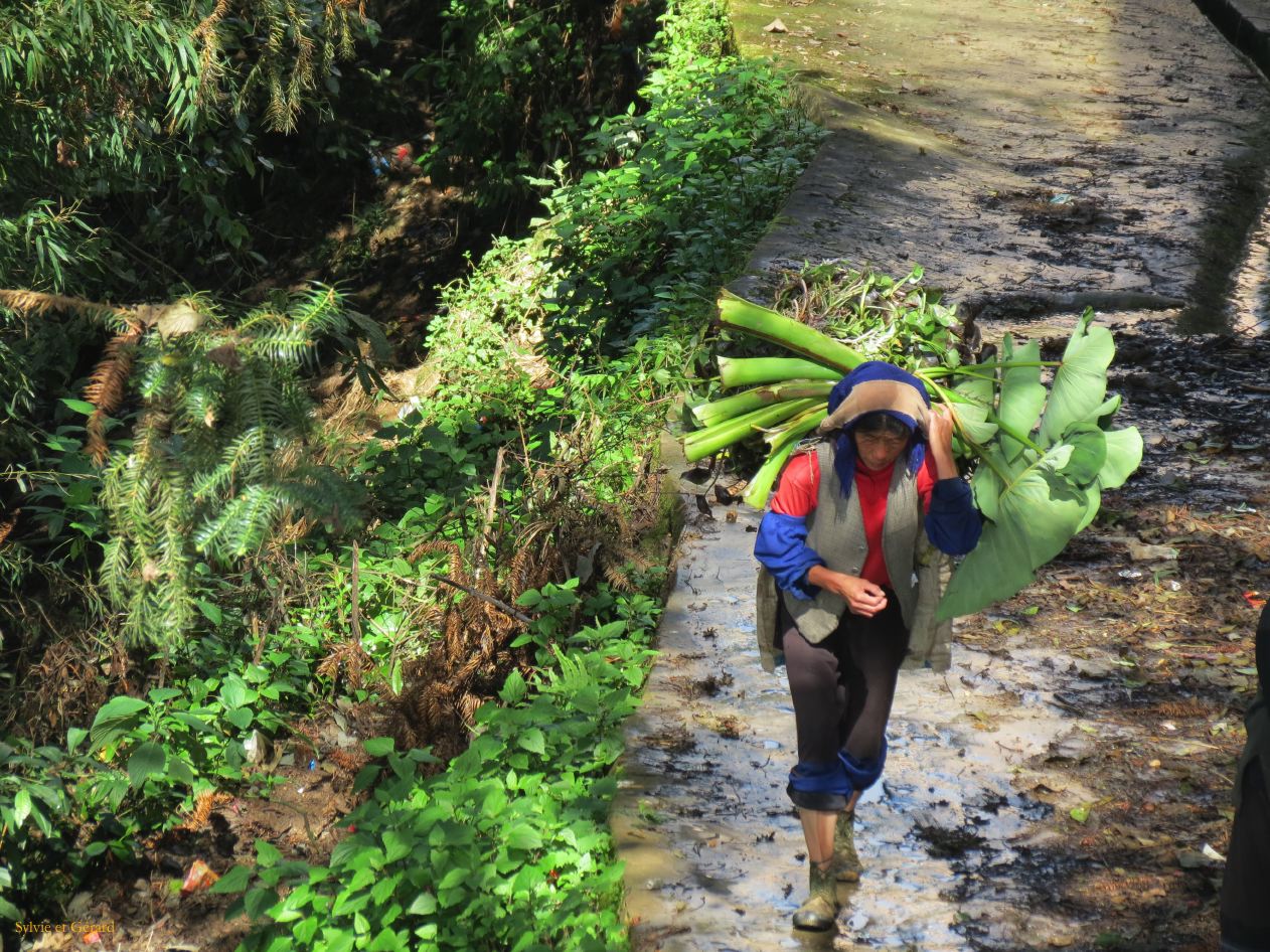 669 Yuanyang rizières des environs
