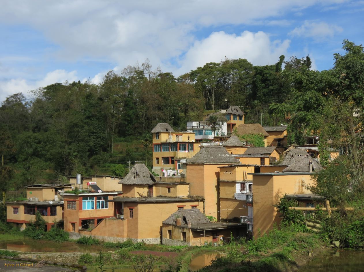 676 Yuanyang rizières des environs