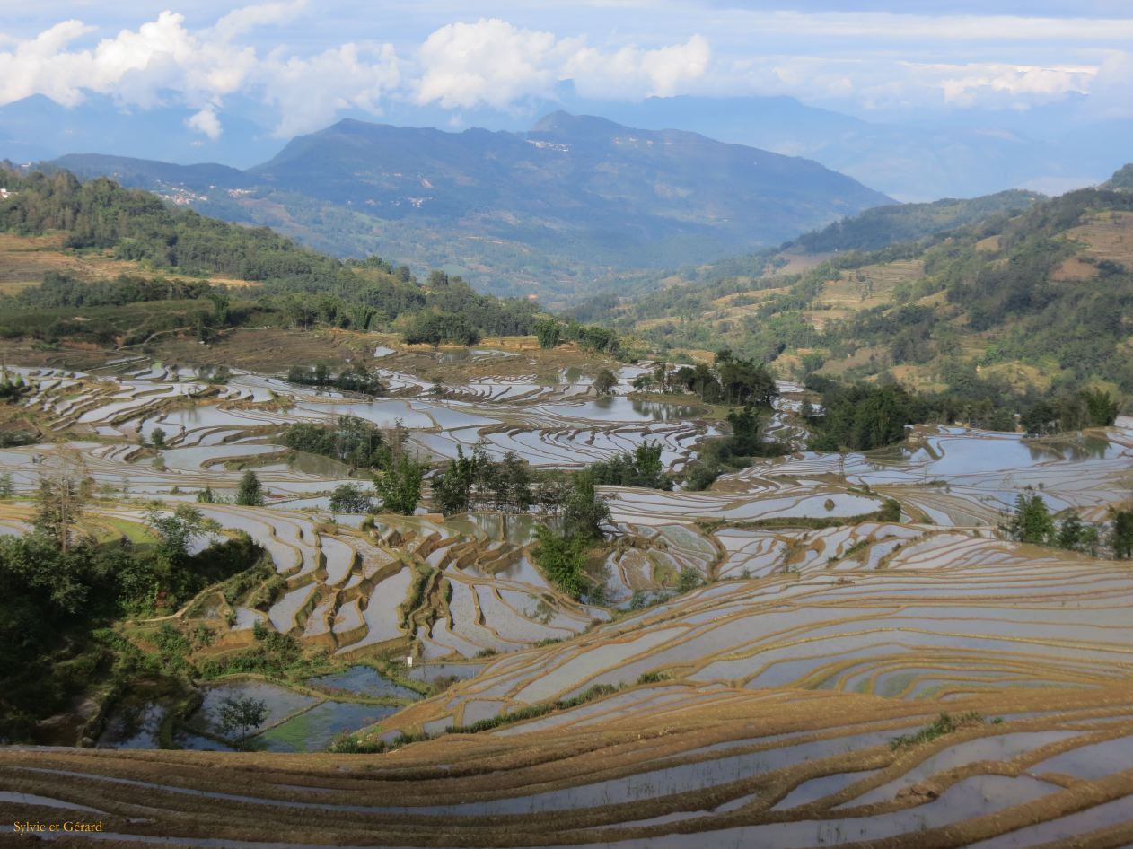 678 Yuanyang rizières des environs