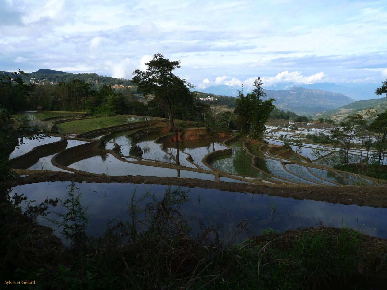 680 Yuanyang rizières des environs