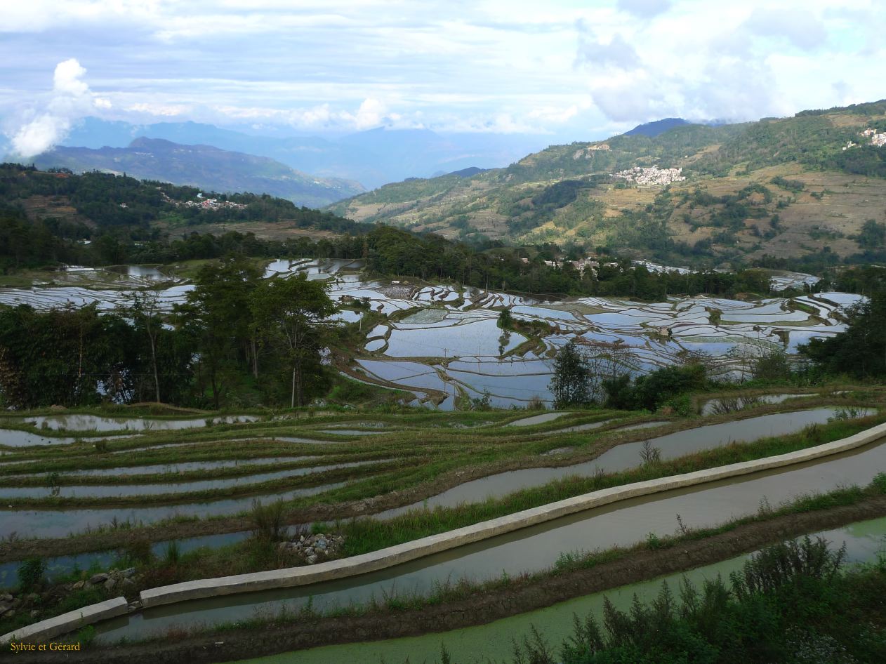 683 Yuanyang rizières des environs