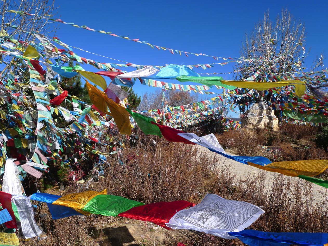 061 Shangri La le temple des poules blanches