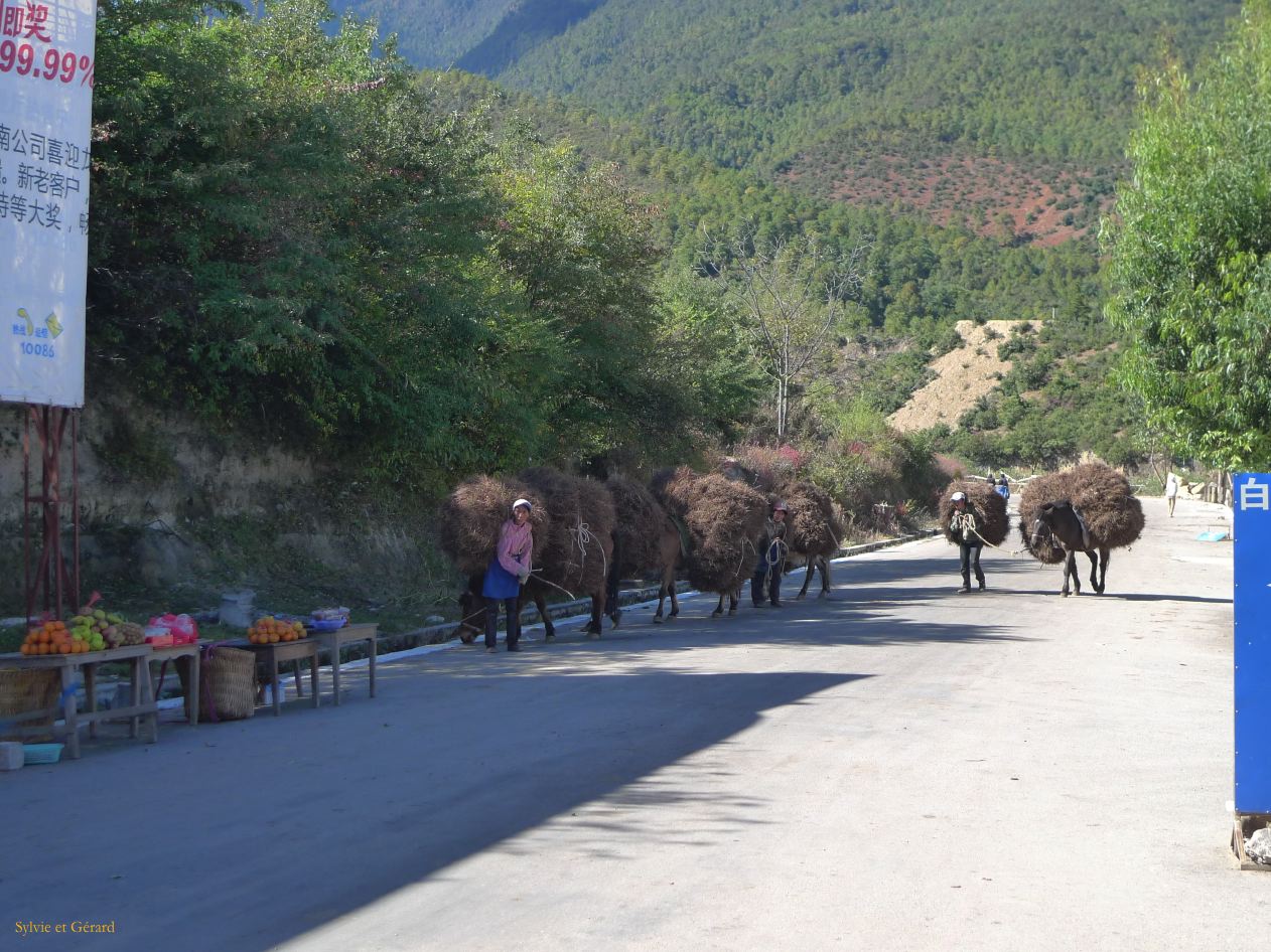 073 Shangri La village Baidi minorité Naxi