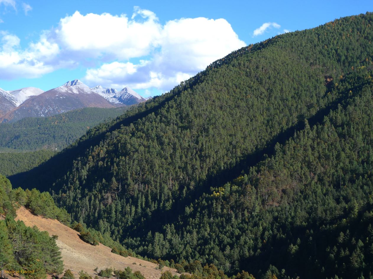 076 Shangri La retour des terrasses de Baishuta