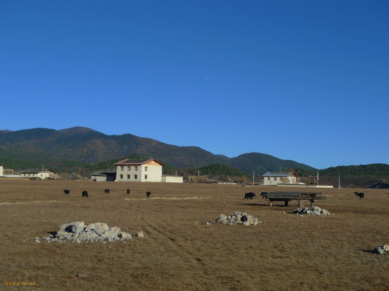 077 Shangri La fermes dans les environs