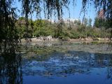 395 Kunming parc du Lac Emeraude