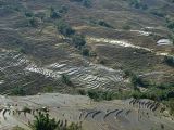 670 Yuanyang rizières des environs