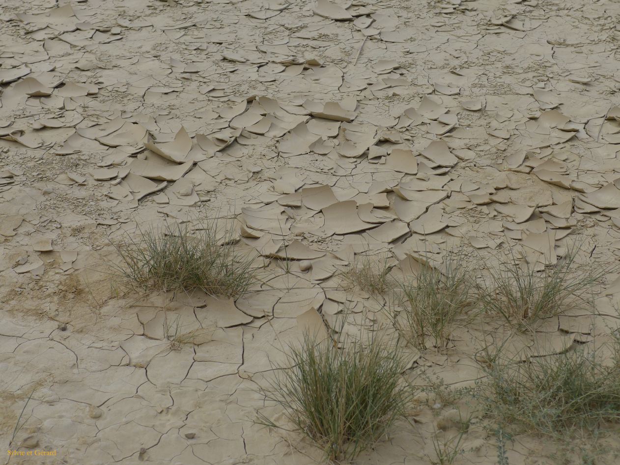 10 Navarre 03 Bardenas Reales circuit de la Blanca Baja P1420267