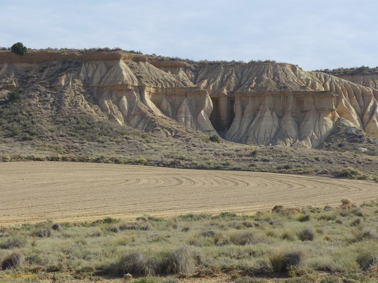 10 Navarre 05 Bardenas Reales circuit de la Blanca Baja P1420317