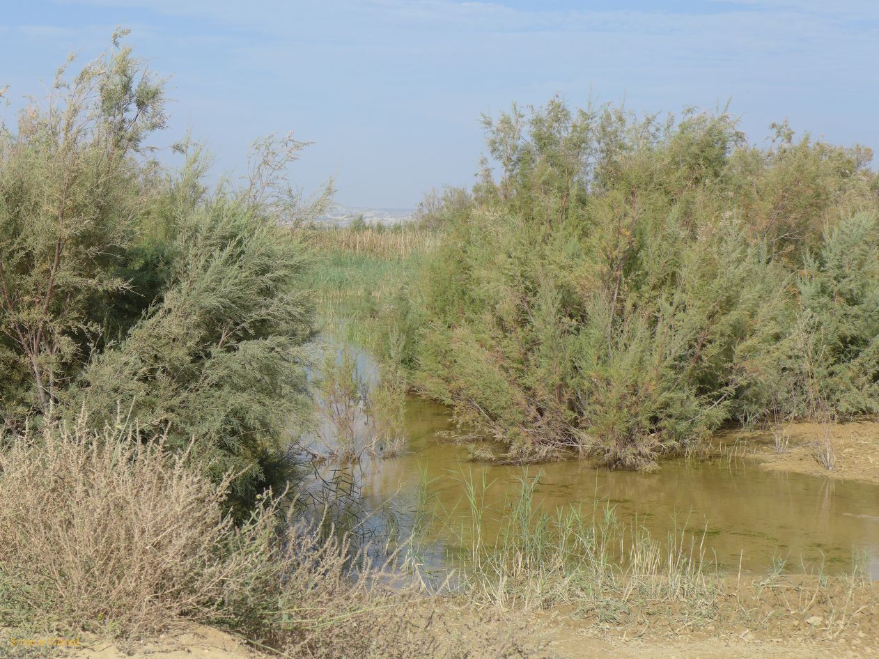 10 Navarre 11 Bardenas Reales circuit de la Blanca Baja P1420386