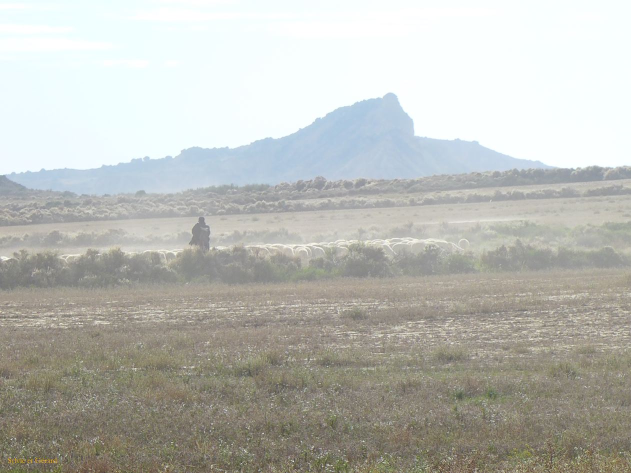 10 Navarre 14 Bardenas Reales circuit de la Blanca Baja P1420403