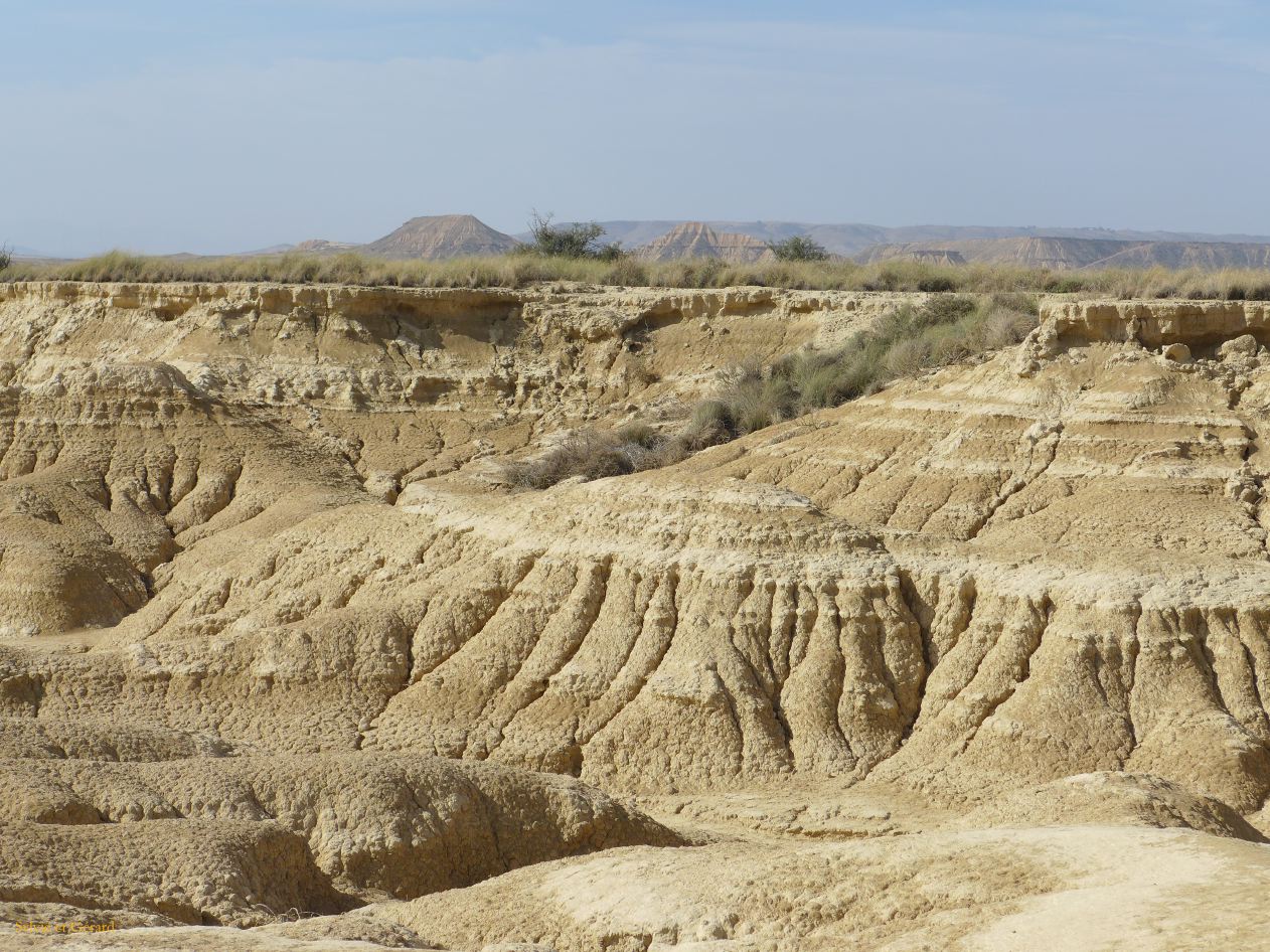10 Navarre 17 Bardenas Reales circuit de la Blanca Baja P1420421
