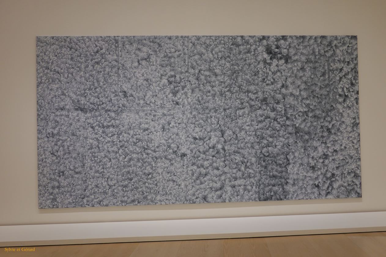 01 Euskadi 17 Bilbao Guggenheim Yayoi Kusama DSC00197