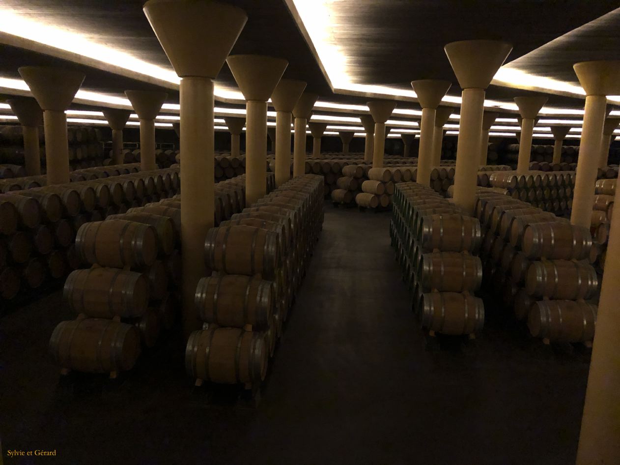 06 La Rioja 11 Briones la bodega Vivanco IMG_5032