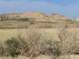 10 Navarre 20 Bardenas Reales circuit de la Blanca Baja P1420451