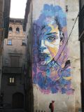 11 Navarre  11 Tudela street art C215 IMG_0056