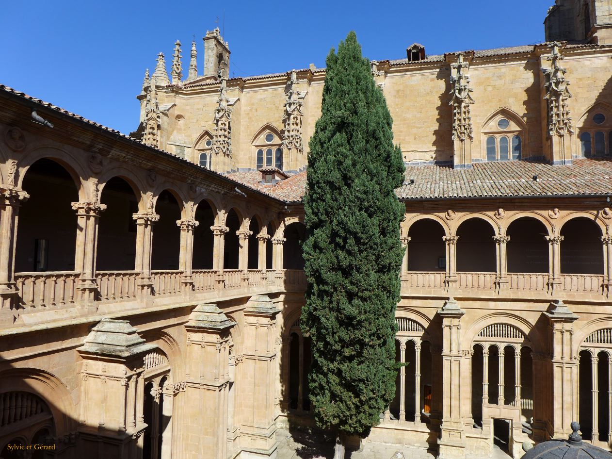 05 Castille et Leon 52 Salamanque Convento de San Esteban le cloître  P1410165