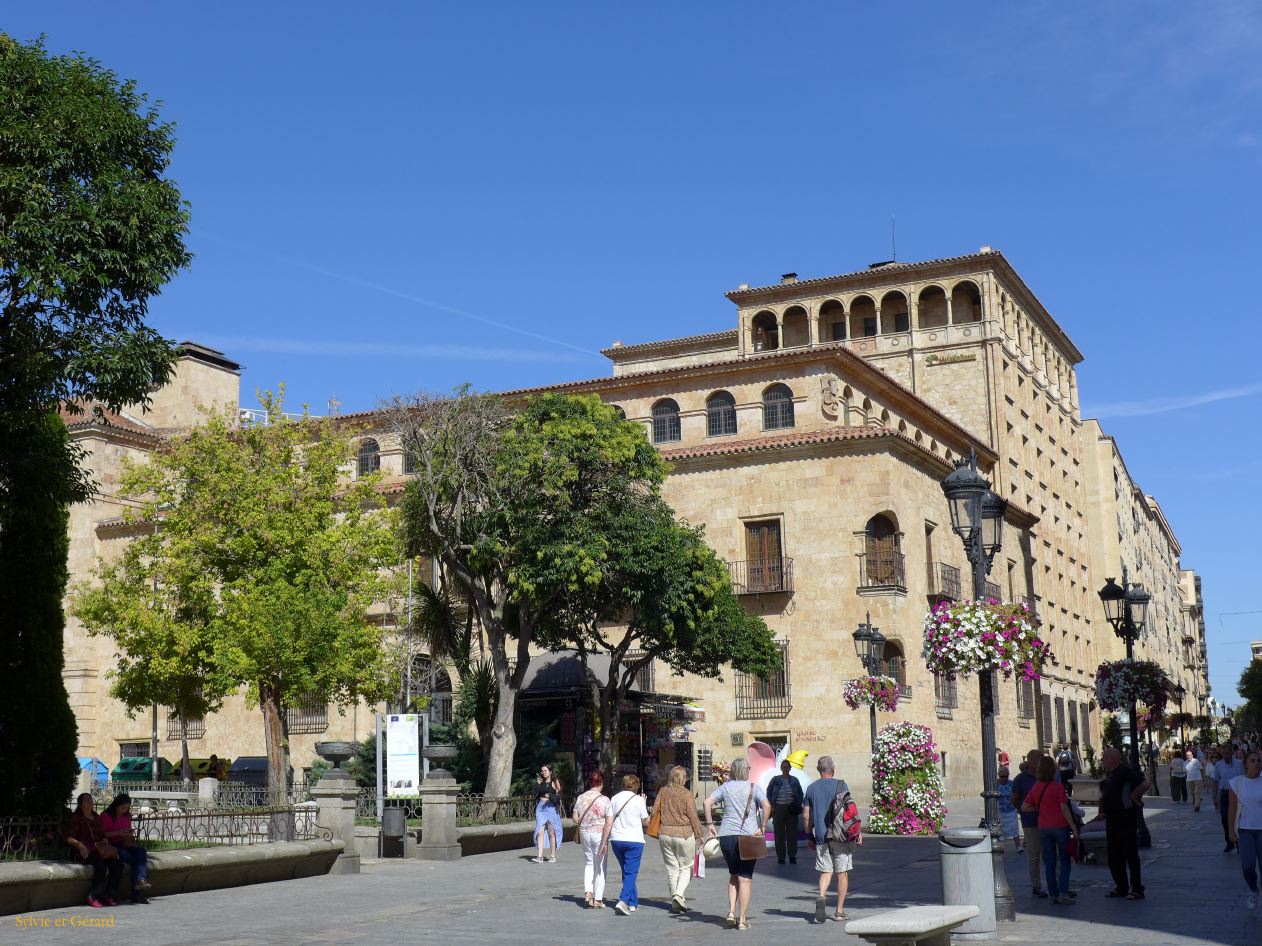 05 Castille et Leon 53 Salamanque dans la ville P1410029