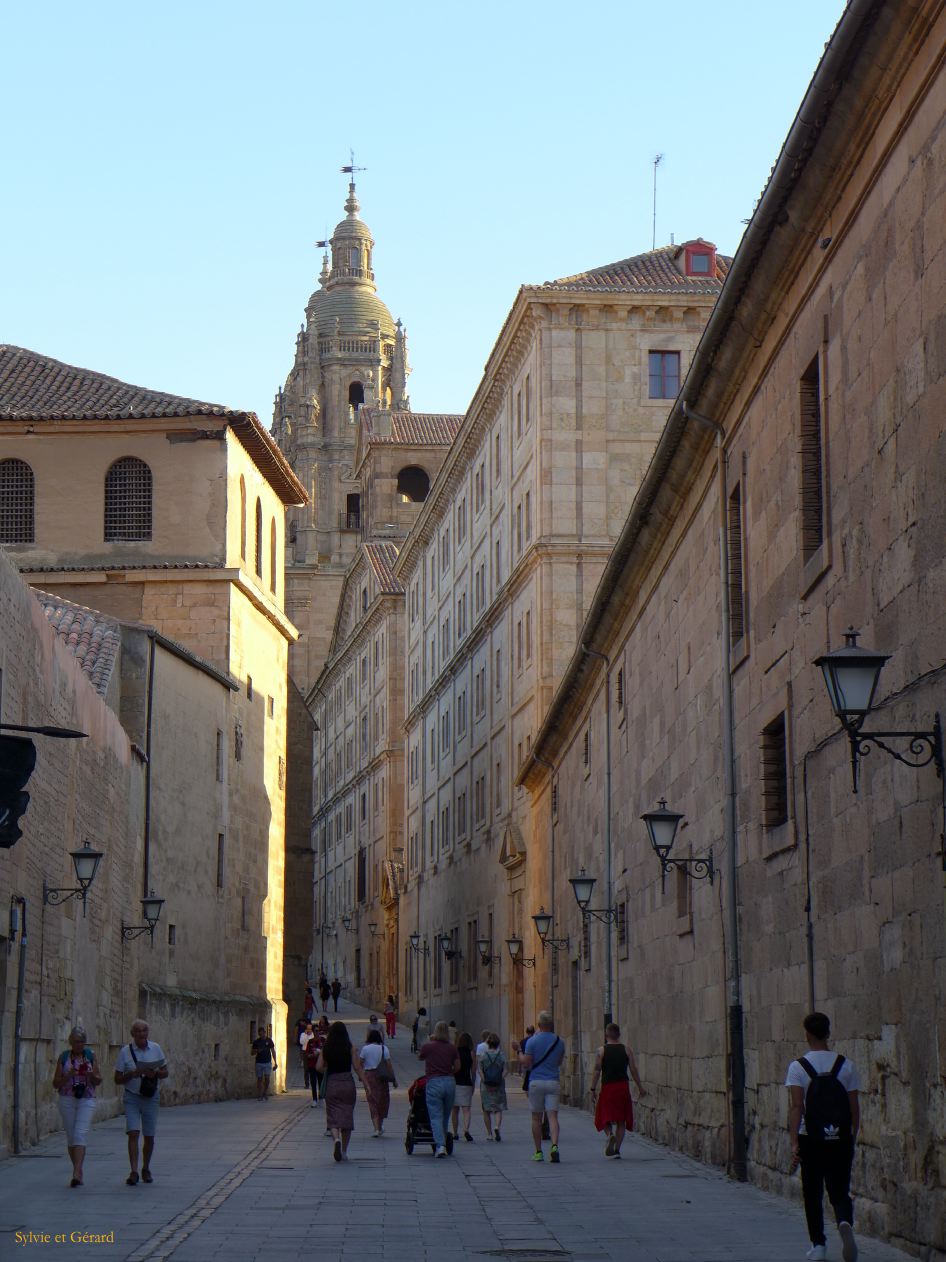 05 Castille et Leon 73 Salamanque dans la ville P1410247