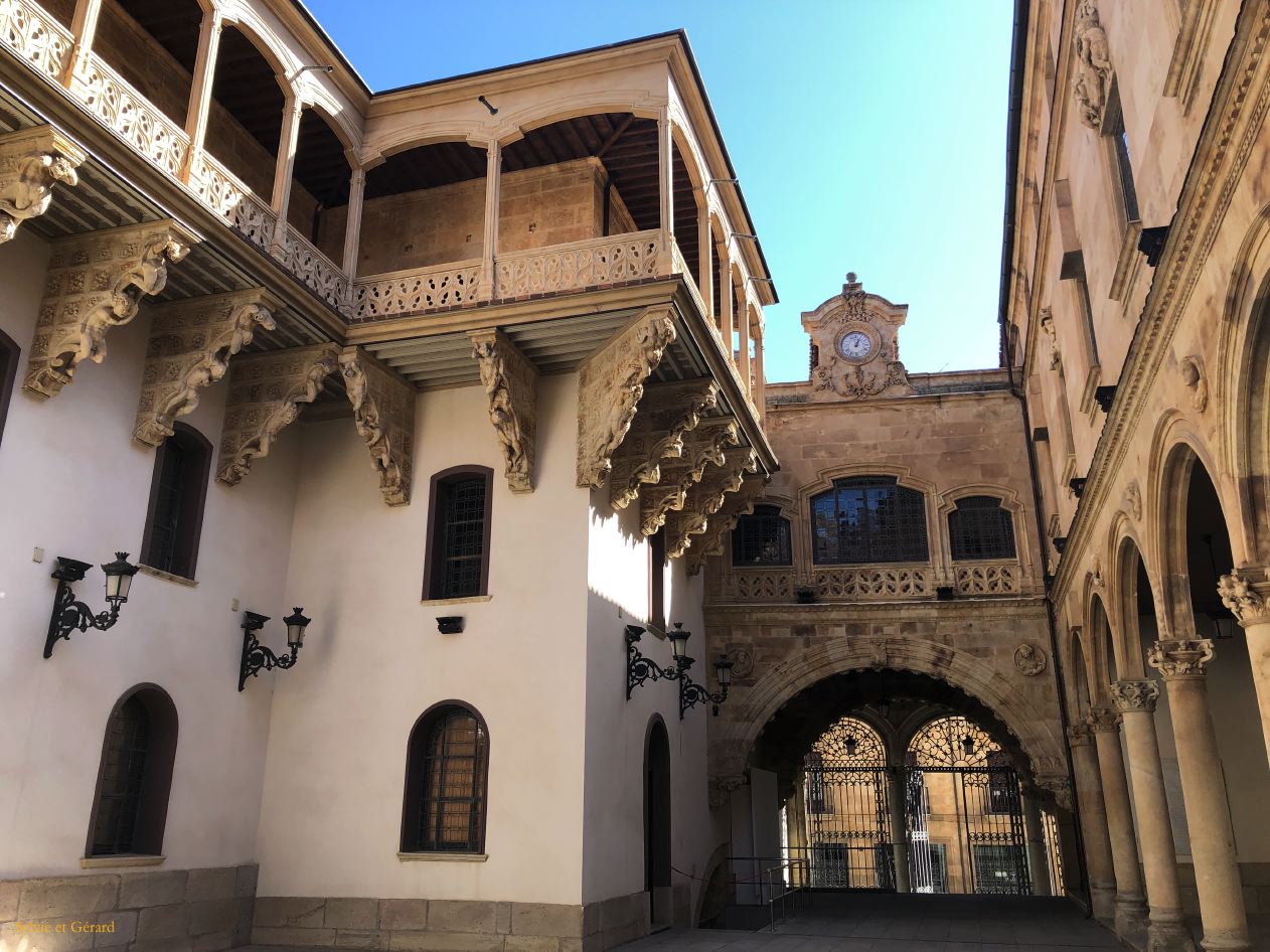 05 Castille et Leon 75 Salamanque Palacio de la Salina IMG_9609