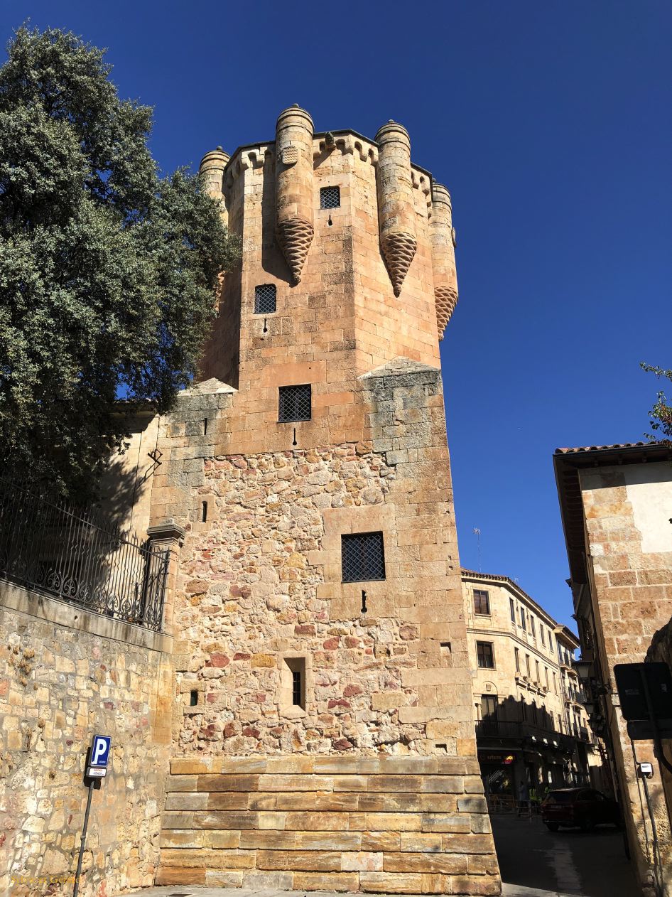 05 Castille et Leon 77 Salamanque dans la ville torre del Clavero IMG_9601