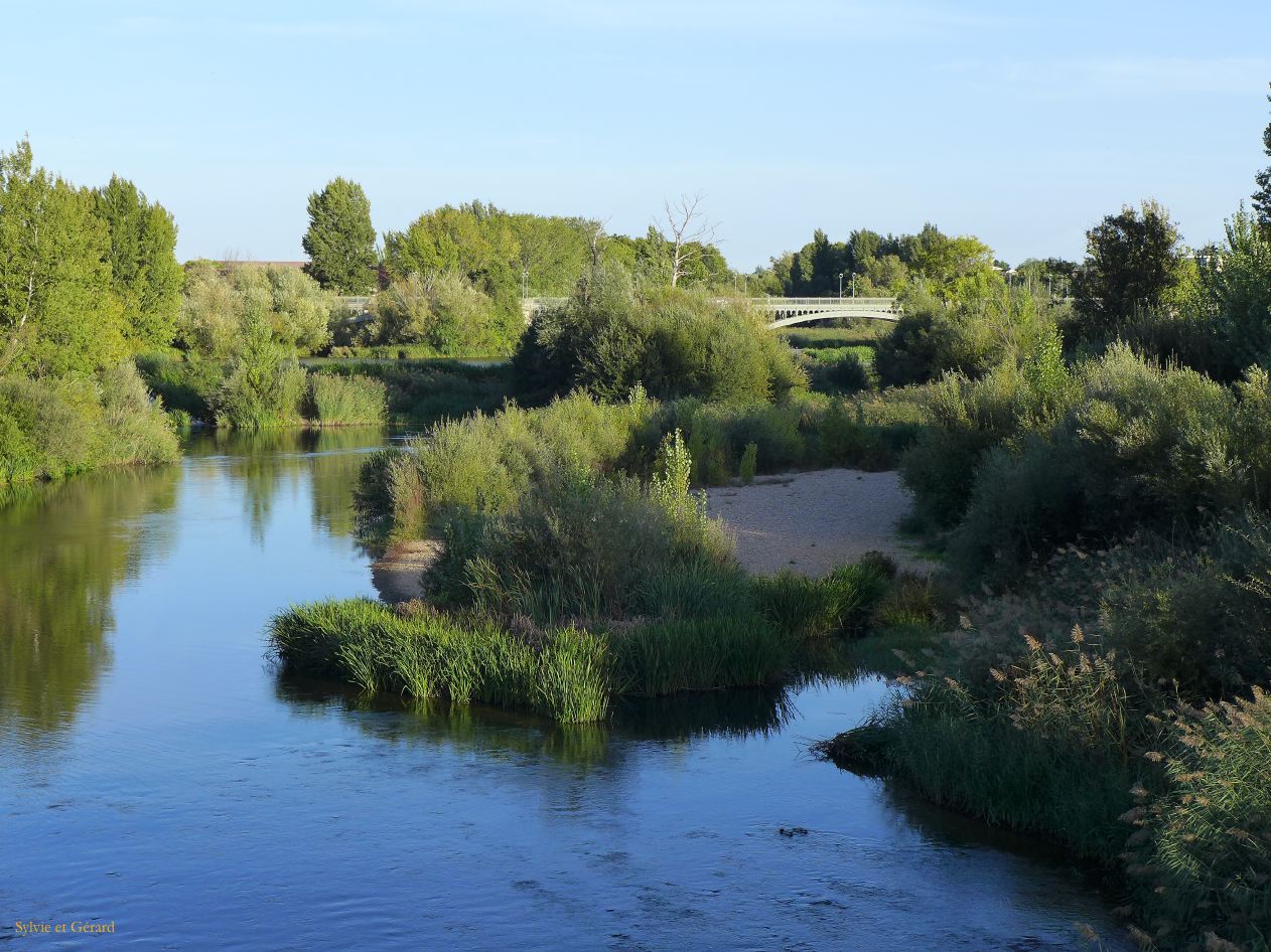 05 Castille et Leon 77 Salamanque le Pont Romain P1400891