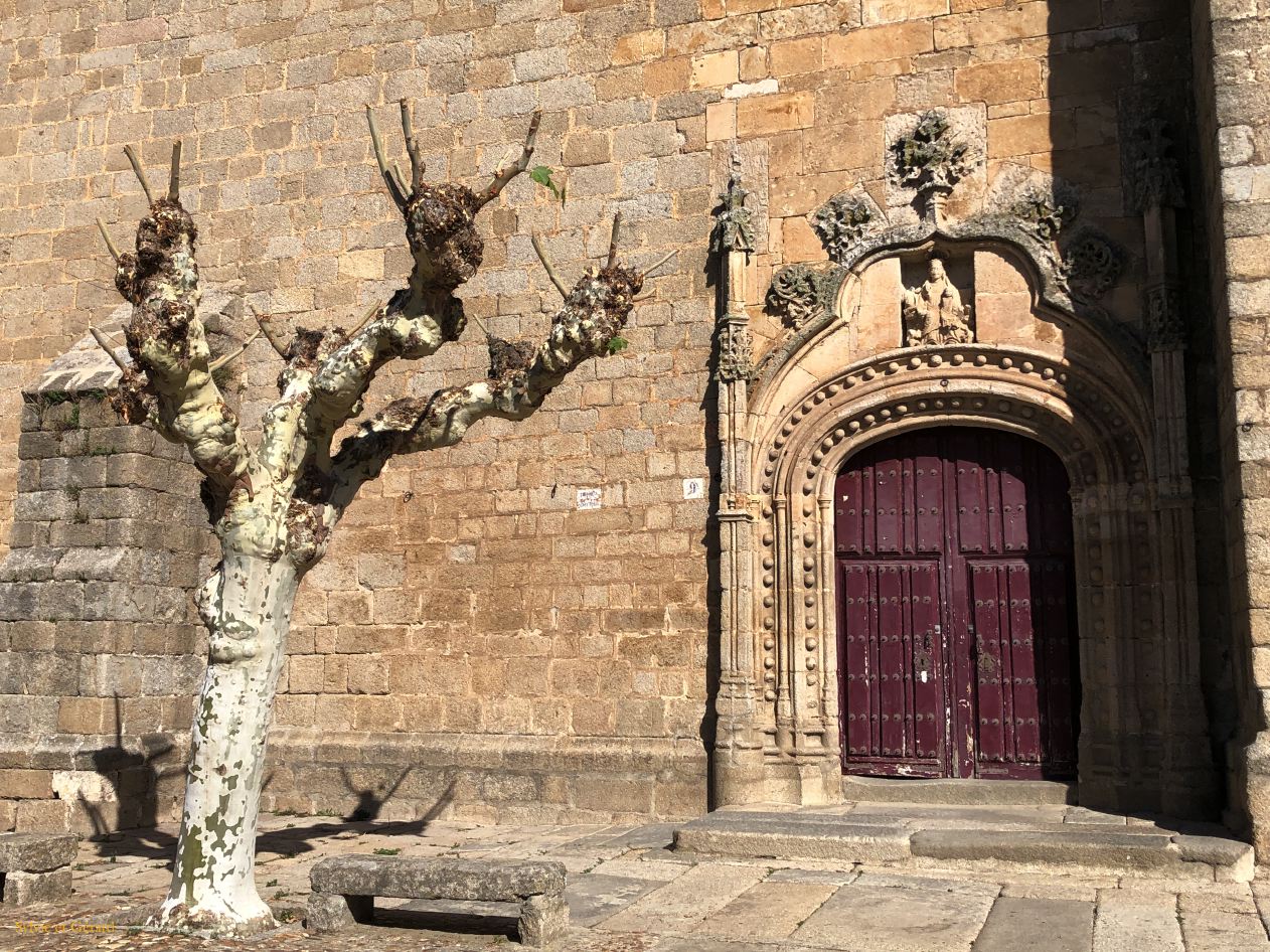 06 Castille et Leon 02 Ledesma IMG_9455