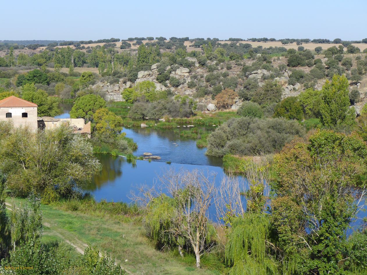 06 Castille et Leon 05 Ledesma Rio Tormes P1400841