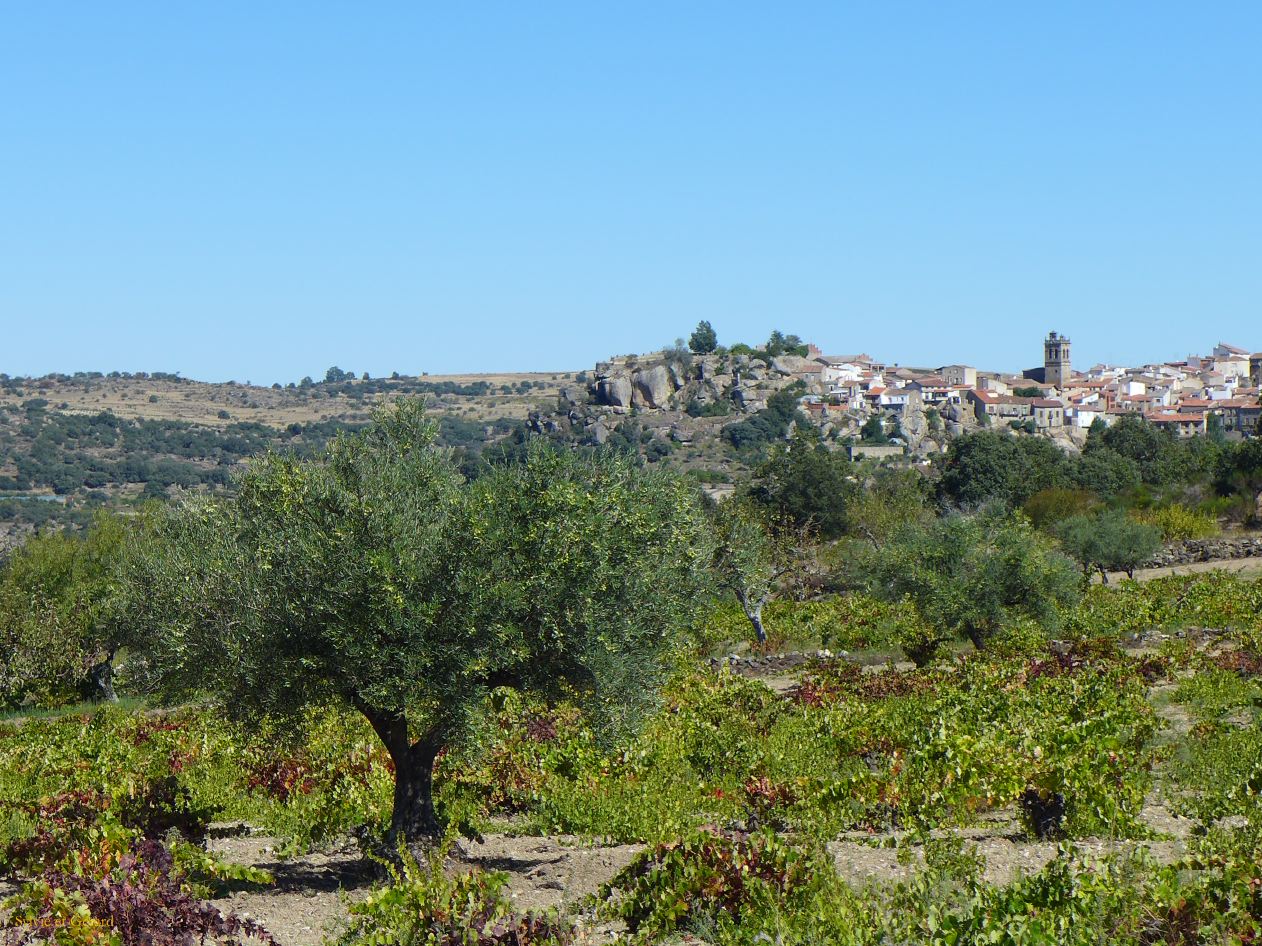 07 Castille et Leon 01 Fermoselle le village P1400407