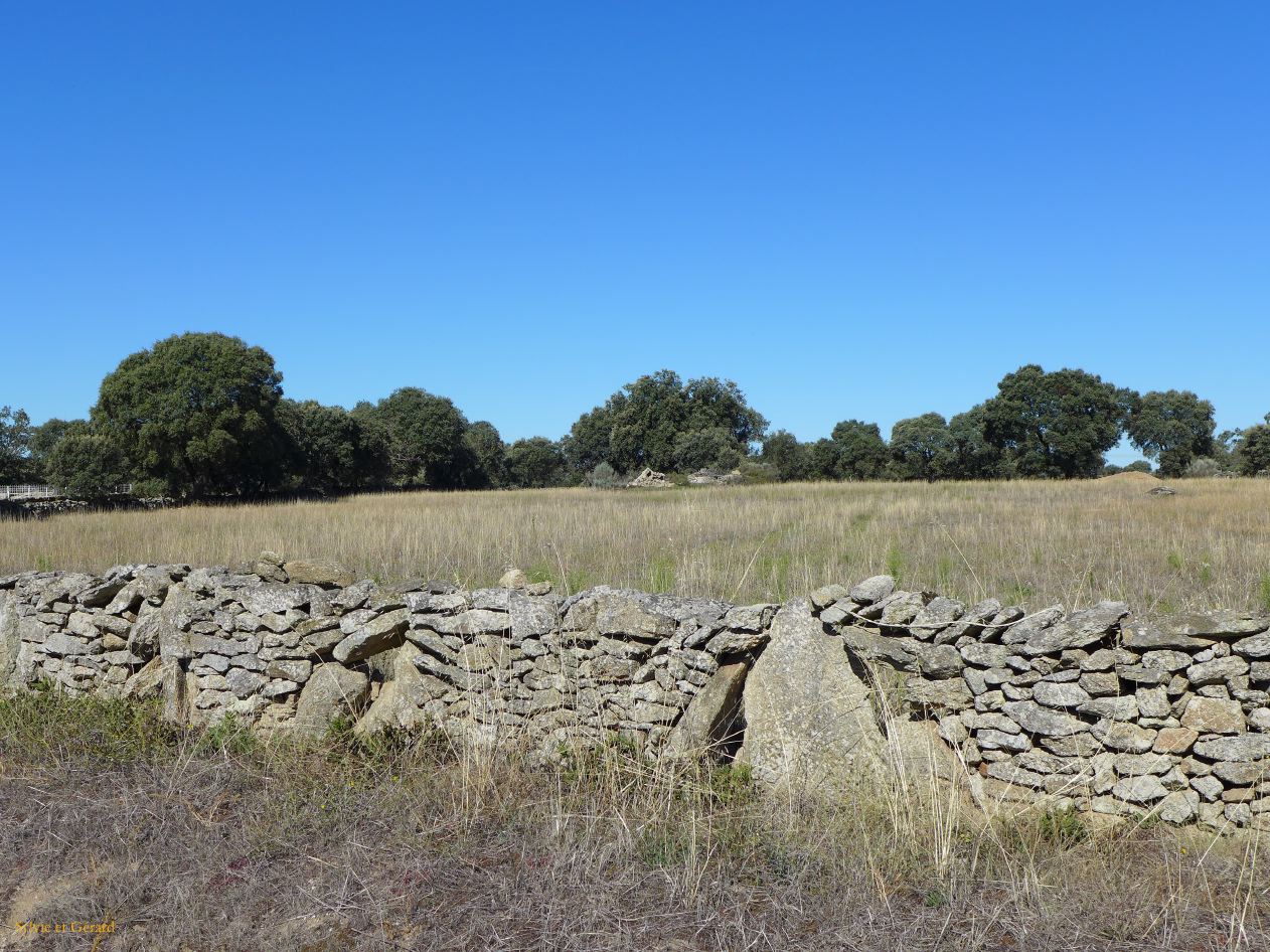 07 Castille et Leon 13 Fermoselle murets de pierres - los cierres P1400397