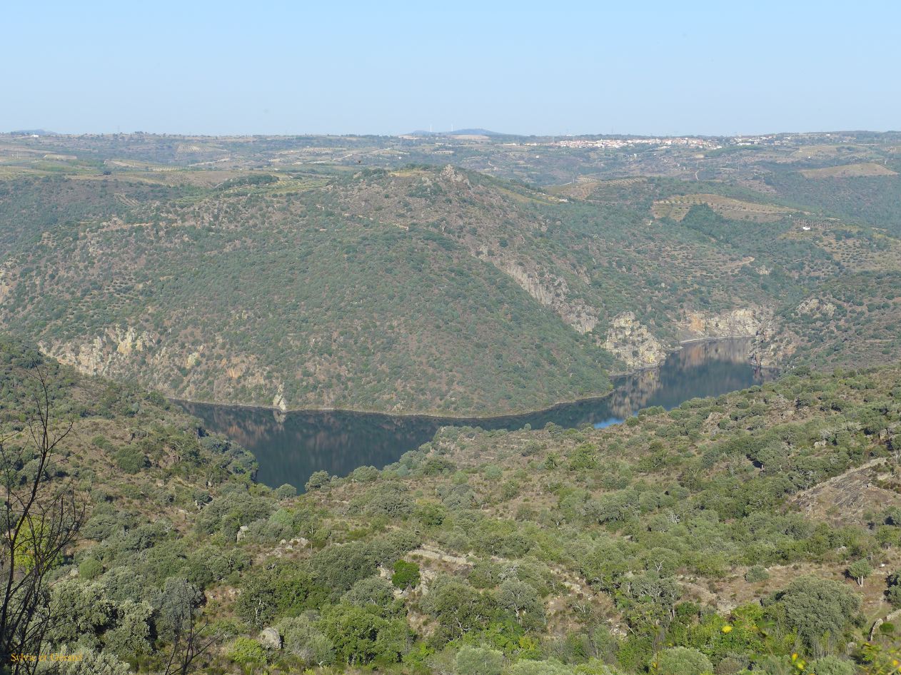 07 Castille et Leon 15 Fermoselle le Duero devant le village P1400826