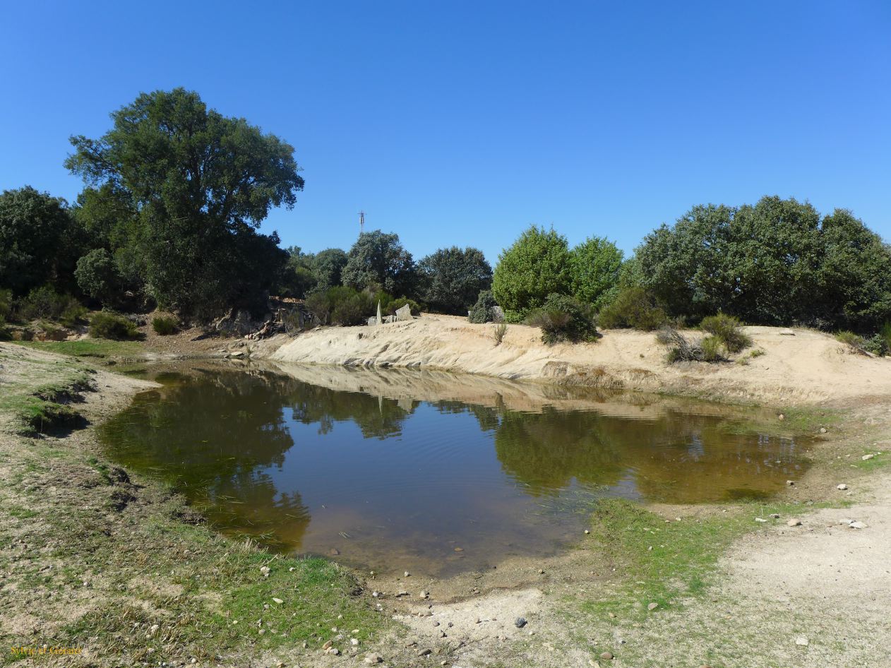 08 Castille et Leon 10 Fariza de Sayago mare  P1400706