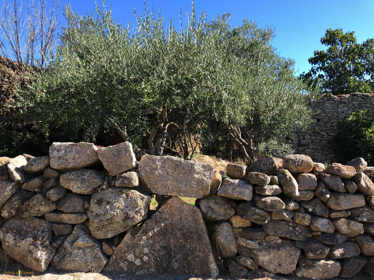 09 Portugal 01 Picote pont et muret de pierre IMG_9358