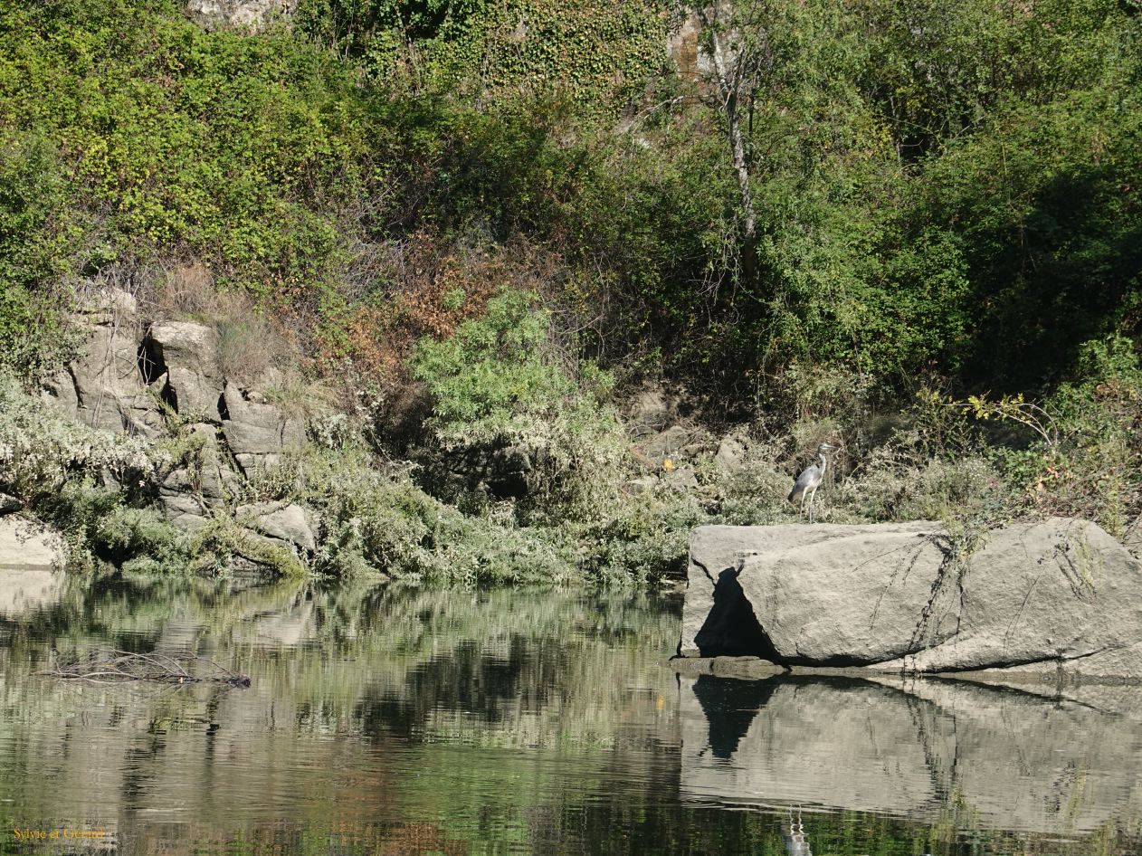 10 Portugal 05 Miranda do Douro croisière dur le fleuve DSC00904